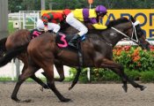 Super Victory gets the better of Super Shadow over the final stages.<br>Photo by Singapore Turf Club